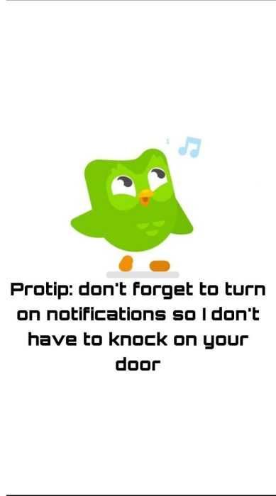 Reddit-Pro-Tip Funny Duolingo Memes