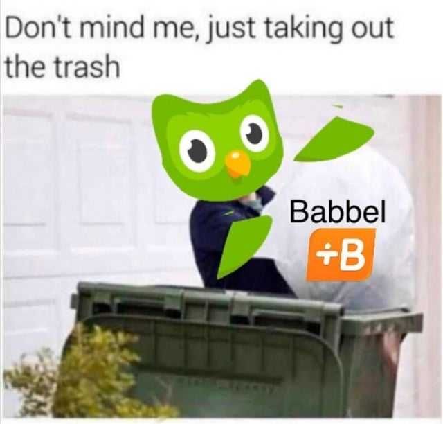 Reddit-Taking-Out-Trash Duo Lingo Memes
