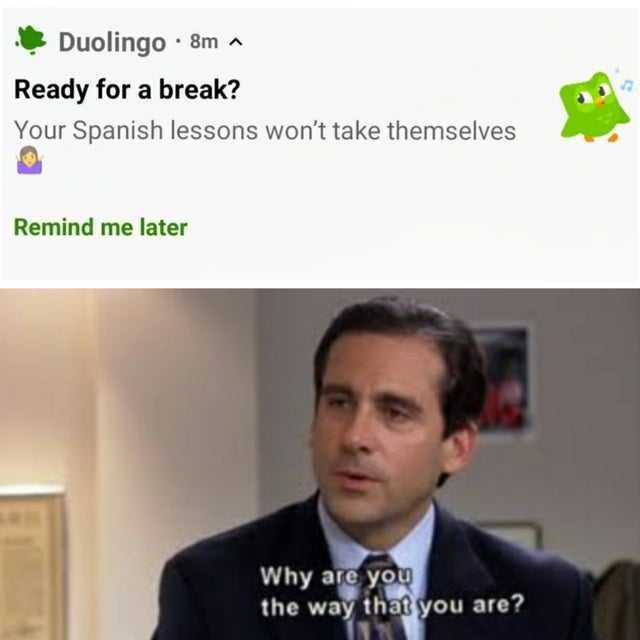 Reddit-Why-Are-You-The-Way Duolingo Not So Happy Meme