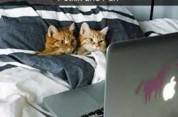 30 Funny And Sweet Animal Snapchats