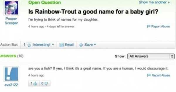 Yahoo-Rainbow-Trout Yahoo Rainbow Trout