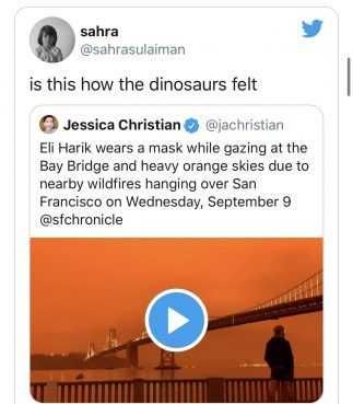 Img_7585-2 Wildfire Memes Twitter How Dinosaurs Felt