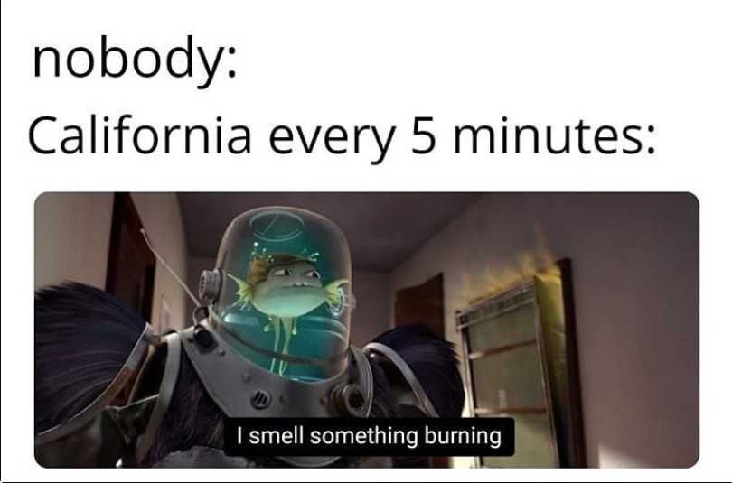 California-Every-5-Minutes-1 California Every 5 Minutes 1