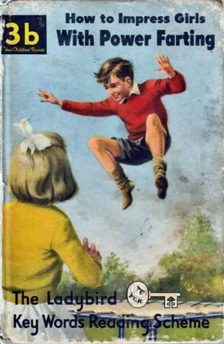 Funny Fake Book Covers  Impress Girls