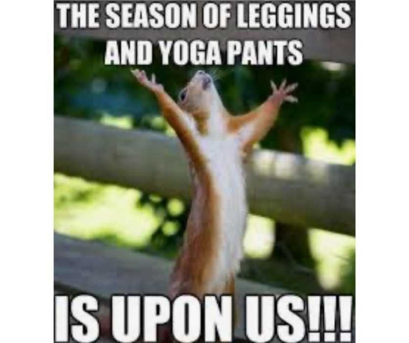 Fall-Is-Upon-Us Fall Is Upon Us