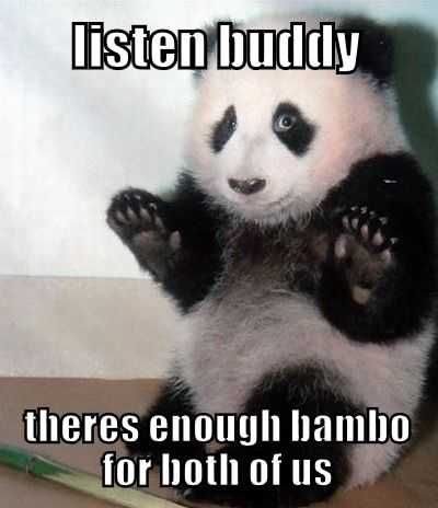 Funny-Bamboo-For-Us Panda Trying To Calm Down A Bamboo Fight