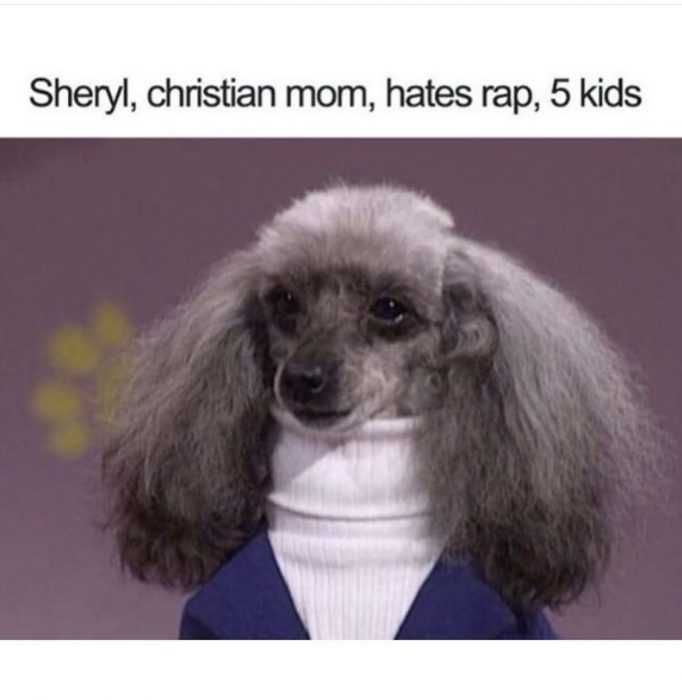Funny-Cheryl If There Ever Was An Uptight Dog, This Is It