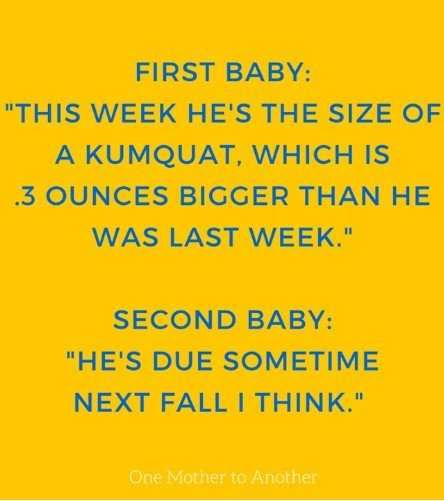 Funny-Parenting-Memes-Sometimes-Next-Fall Parenting Memes About First Baby