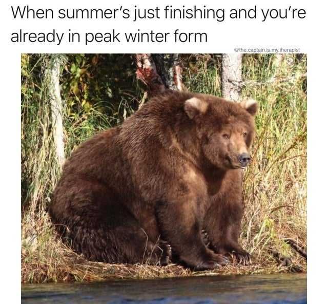 Funny-Peak-Winter-For Bear Looking Like It'S Stocked Up For The Winter