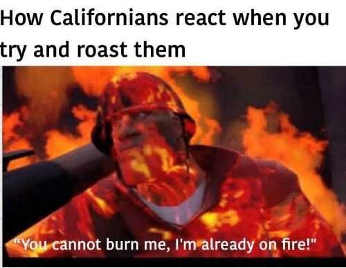 Meme-Cant-Burn California Wildfire Memes Try Roasting Californians