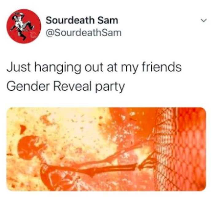 Meme-Just-Hanging Gender Reveal Party In California Terminator Scene