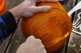 Pumpkin 1004990 1280