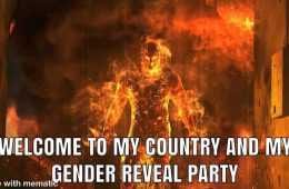 Wildfire Gender Country