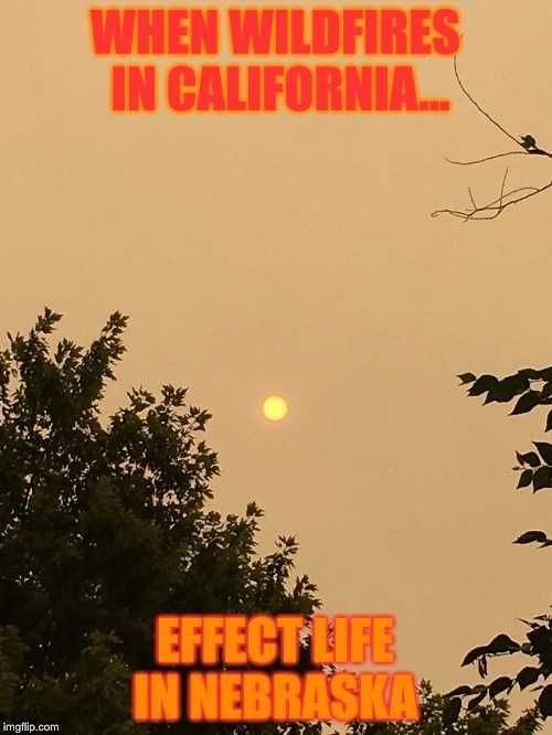 Wildfire-Memes-Affect Wildfire Memes Affect