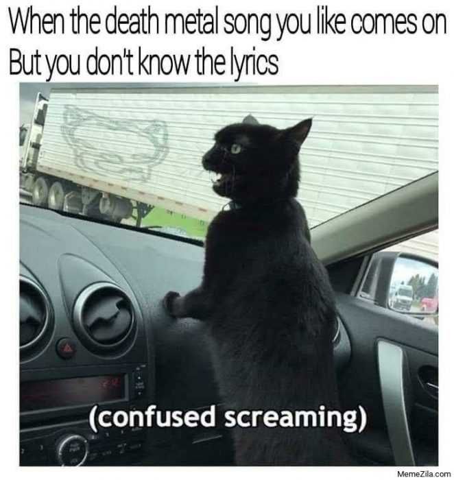 Zoo-Confused-Screaming Funny Animal Memes Cat Seeing Logo On Truck Meme