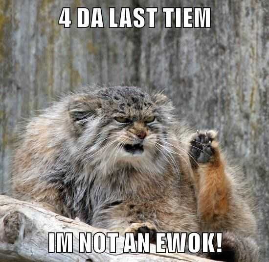 Zoo-Not-Ewok Funny Animal Memes Ewok Mountain Lion