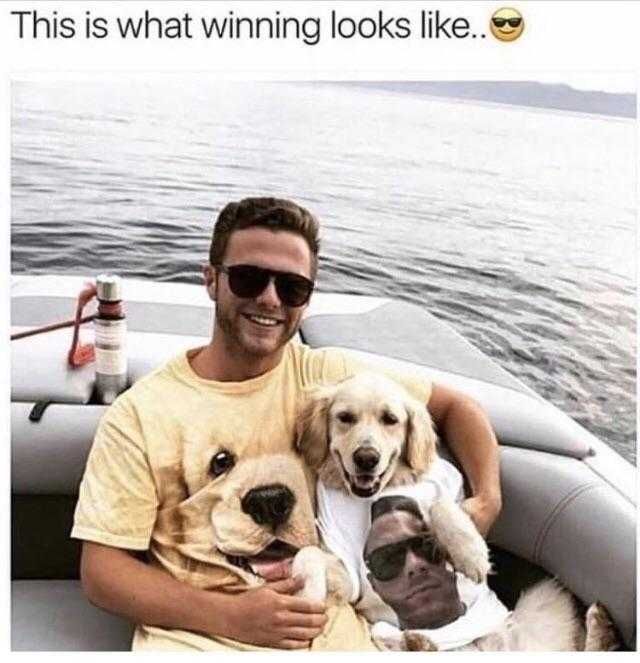 Zoo-Winning-Wholesome Funny Animal Memes Partner Puppy Look