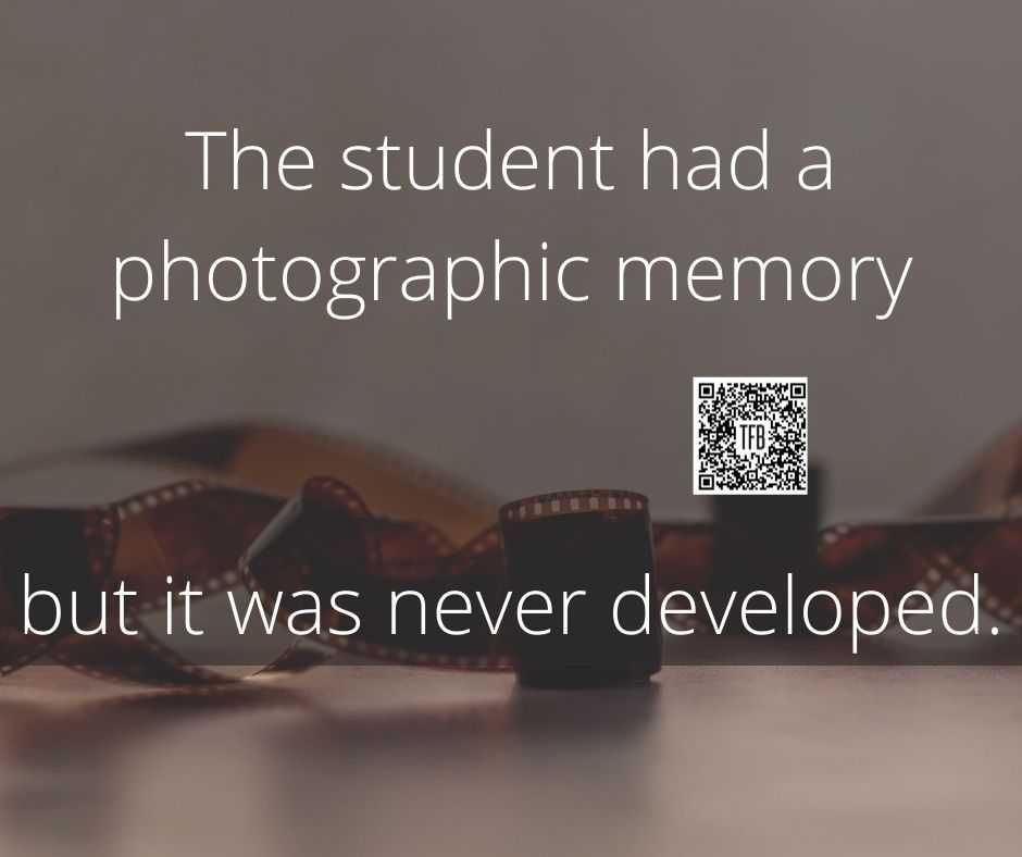 He Had A Photographic Memory Which Was Never Developed. 13 Funny Pun And Clever Memes Photographic Memory