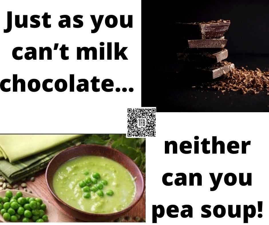 Just As You Can’t Milk Chocolate Neither Can You Pea Soup 13 Funny Pun And Clever Memes Milk Chocolate &Amp; Pea Soup