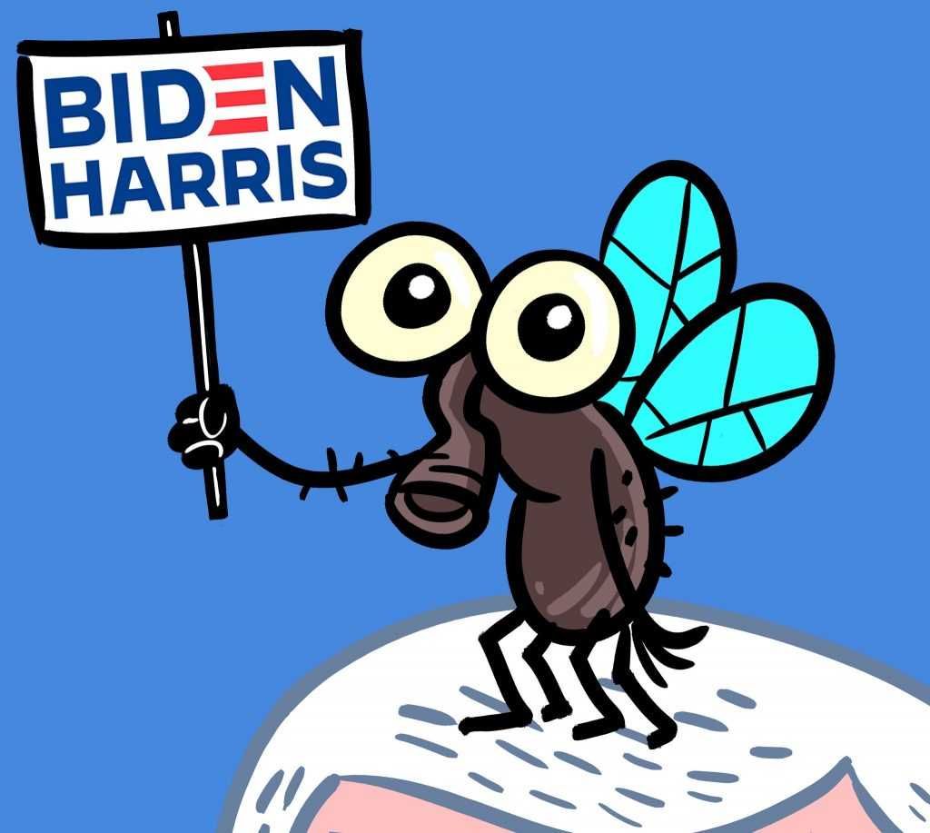 Biden-Fly Biden Fly