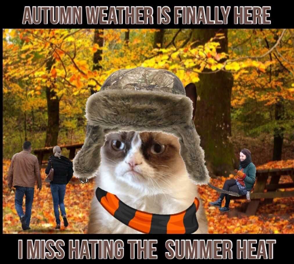 Fall-Weather Funny Autumn Animal Pictures 1
