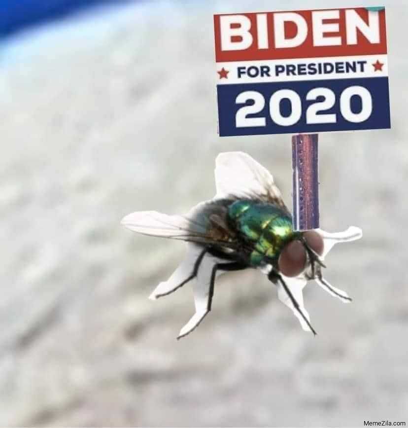 Fly-2020 Fly 2020