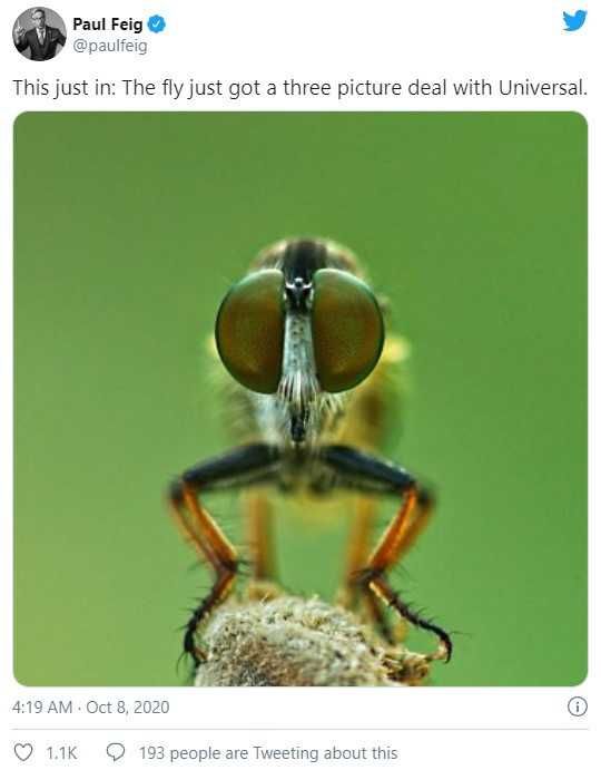 Fly-3Picture Fly 3Picture