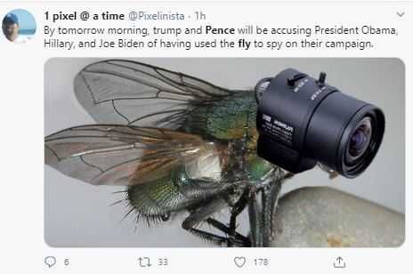 Fly-Accused Fly Accused