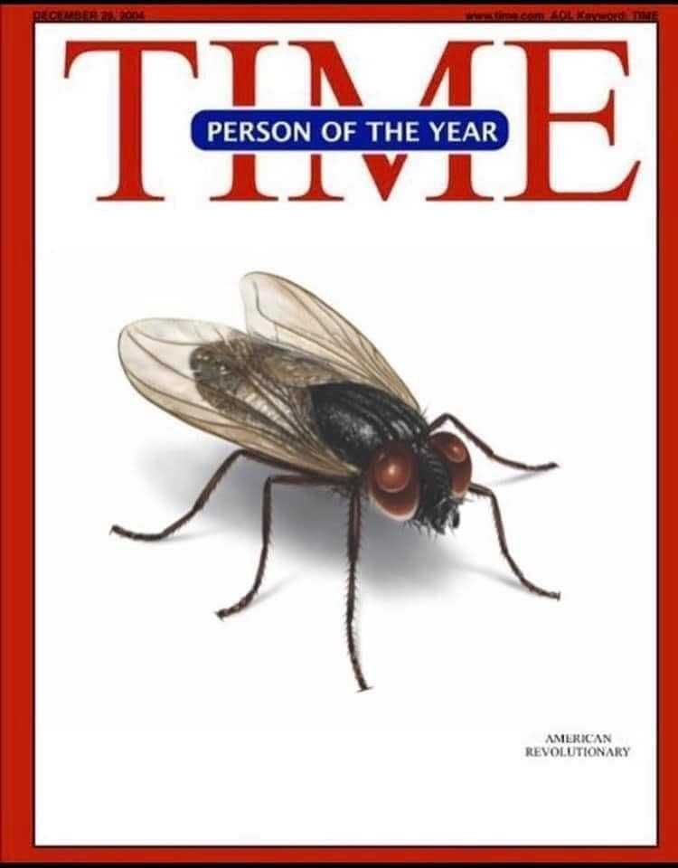 Fly-American-Rev Debate Fly Memes 2 Time Cover