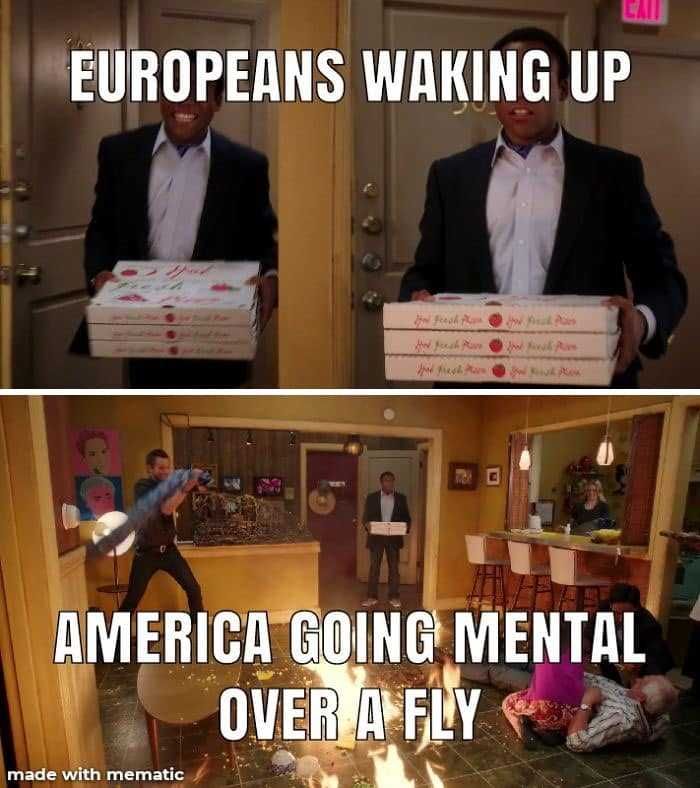 Fly-Americans Debate Fly Memes 5