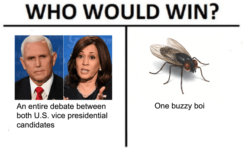 Fly-Buzzy-Boi Fly Buzzy Boi