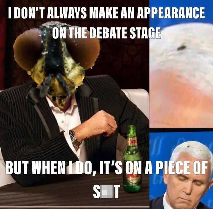 Fly-Dont-Always Debate Fly Memes 4 Fly On Sh*T