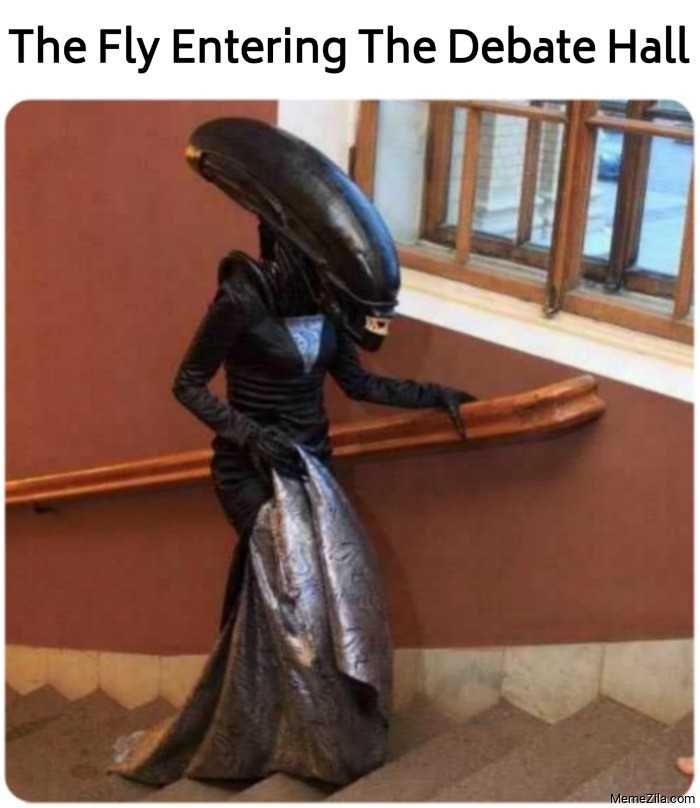 Fly-Entering Fly Entering