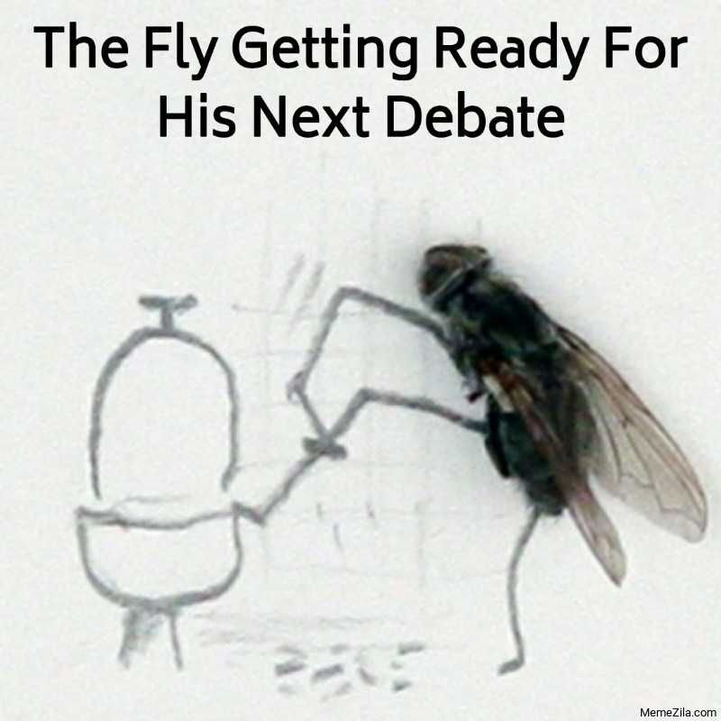 Fly-Getting-Ready Fly Getting Ready