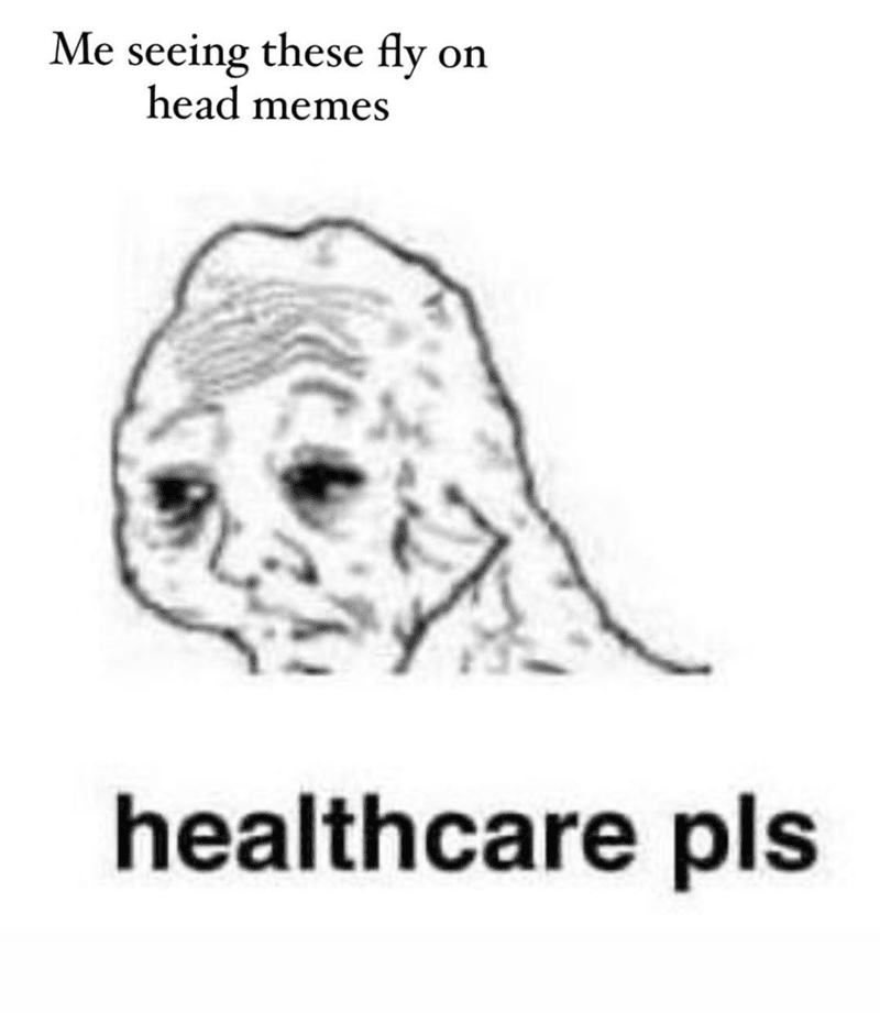 Fly-Healthcare Debate Fly Memes 3 Healthcare Issues
