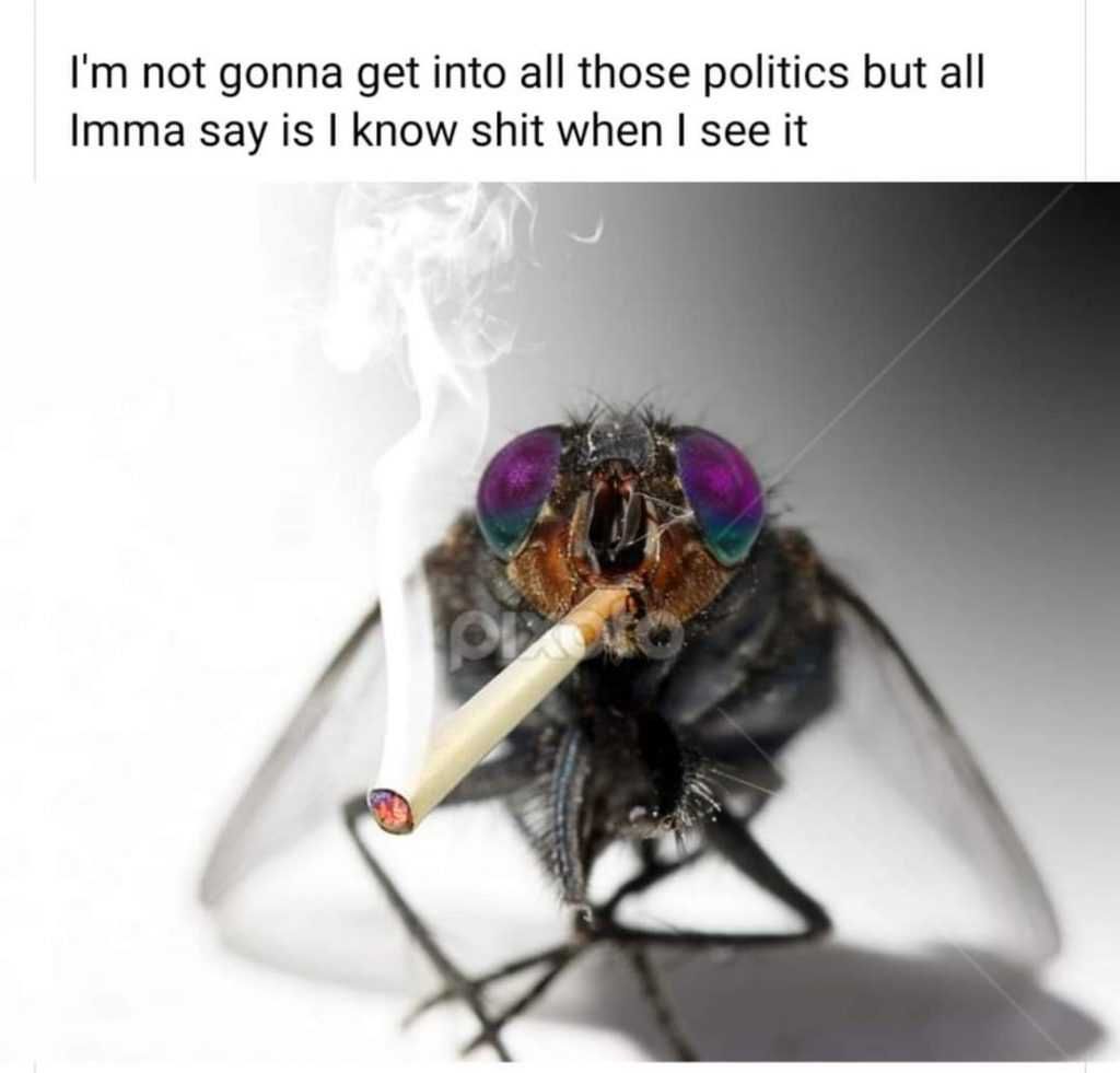 Fly-Know-Ish Fly Know Ish