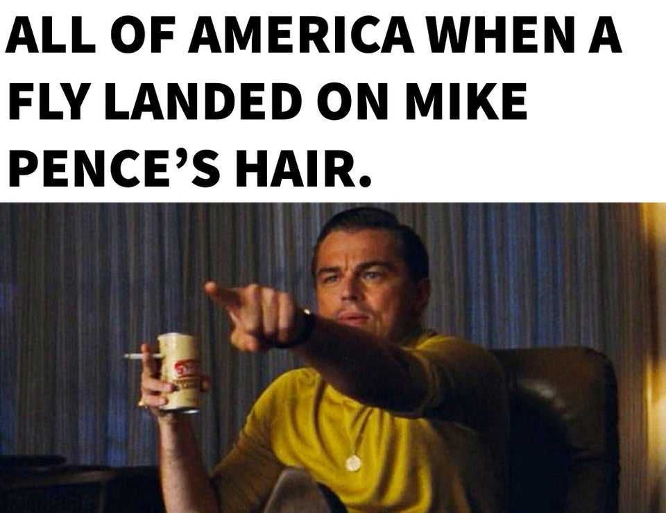 Fly-Land Fly Land