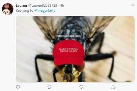 Fly-Maga Fly Maga