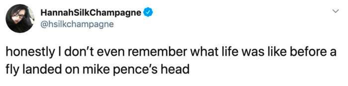 Fly-Remember Debate Fly Memes 1