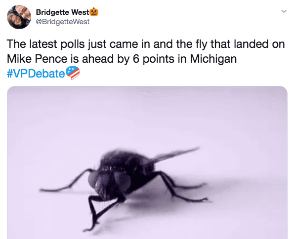 Fly6 Fly6