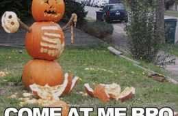 Halloween Meme  Pumpkin Carving Display