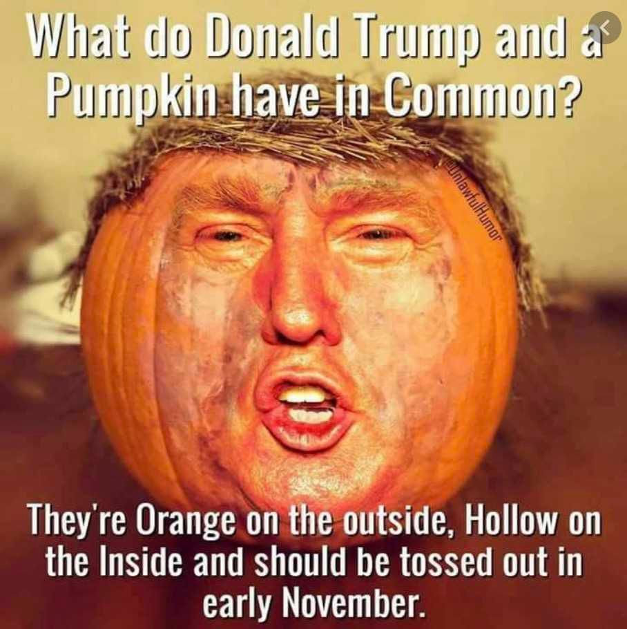 Halloween-Memes-2020-7 Halloween 2020 Memes Donald Trump And Pumpkin Similarities