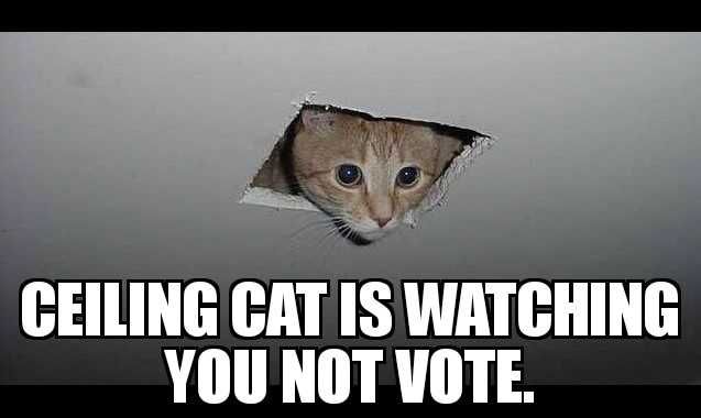 Meme-Ceiling-Cat Voting Cat Memes Ceiling Cat