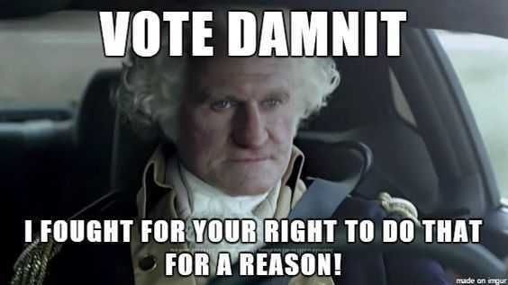 Meme-Vote-Dammit Voting Memes 2020 Respect Your Forefathers