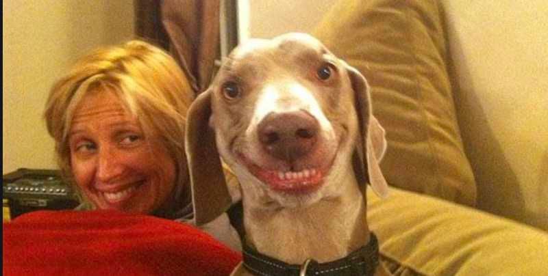 Smiling-Dog-Same-Smile-As-Owner Smiling Dog Like Owner Like Dog Smile