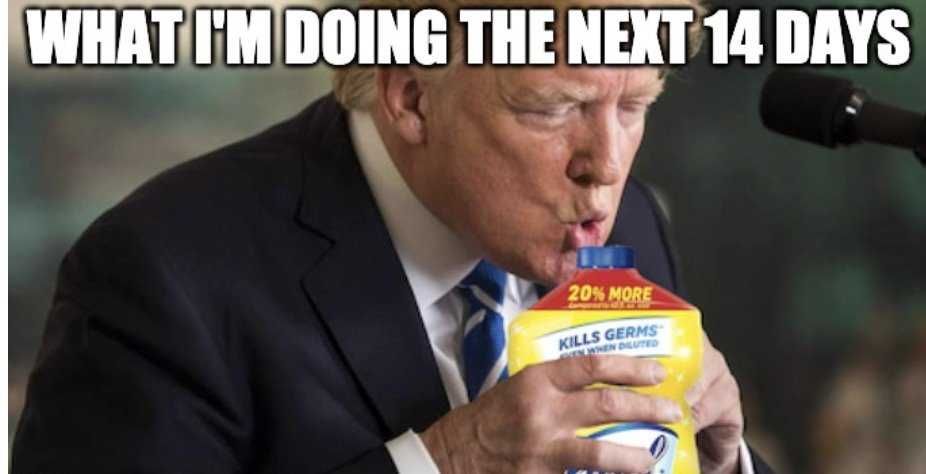 After Trump Found Out He Has Covid, He Decides On Sipping Lysol Meme Funny Trump Covid Memes Photo Of Trump Sipping Lysol Captioned By What I'M Doing The Next 14 Days.