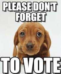 Vote-Dont-Forget Funny Voting Memes Puppy How Can You Resist Them Puppy Eyes