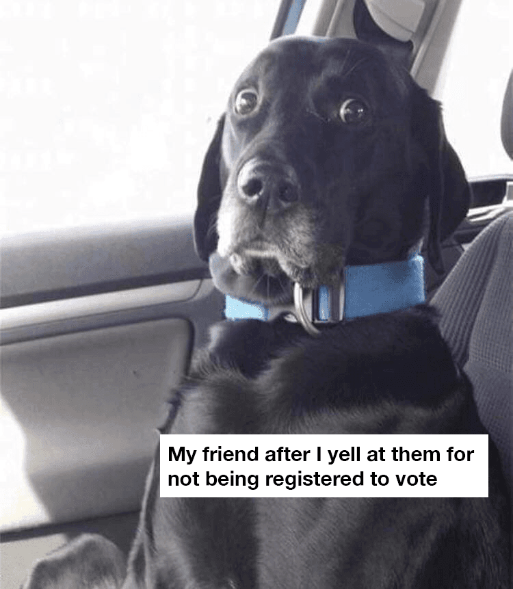 Voting-Registered Funny Voting Memes Dog Shocked And Surprised