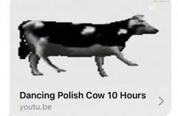 09879A93 5Aae 4829 9812 8C3C72E22876