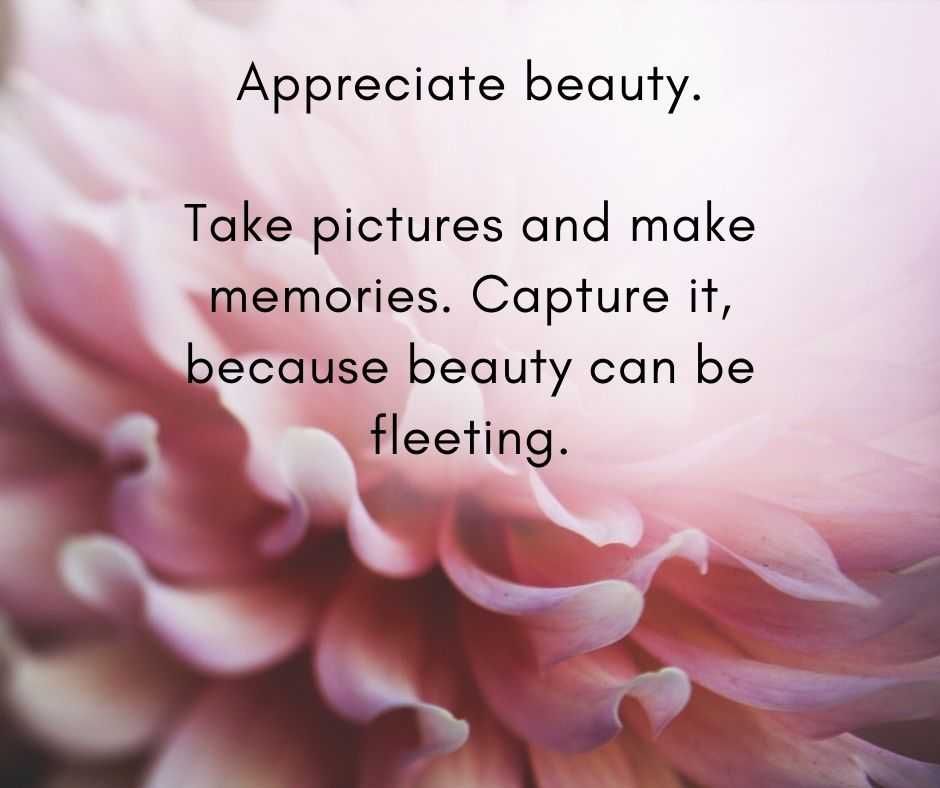 11 Life Lessons Appreciate Beauty 11 Life Lessons Appreciate Beauty